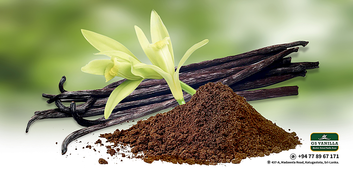 Sri Lankan Premium Vanilla Powder