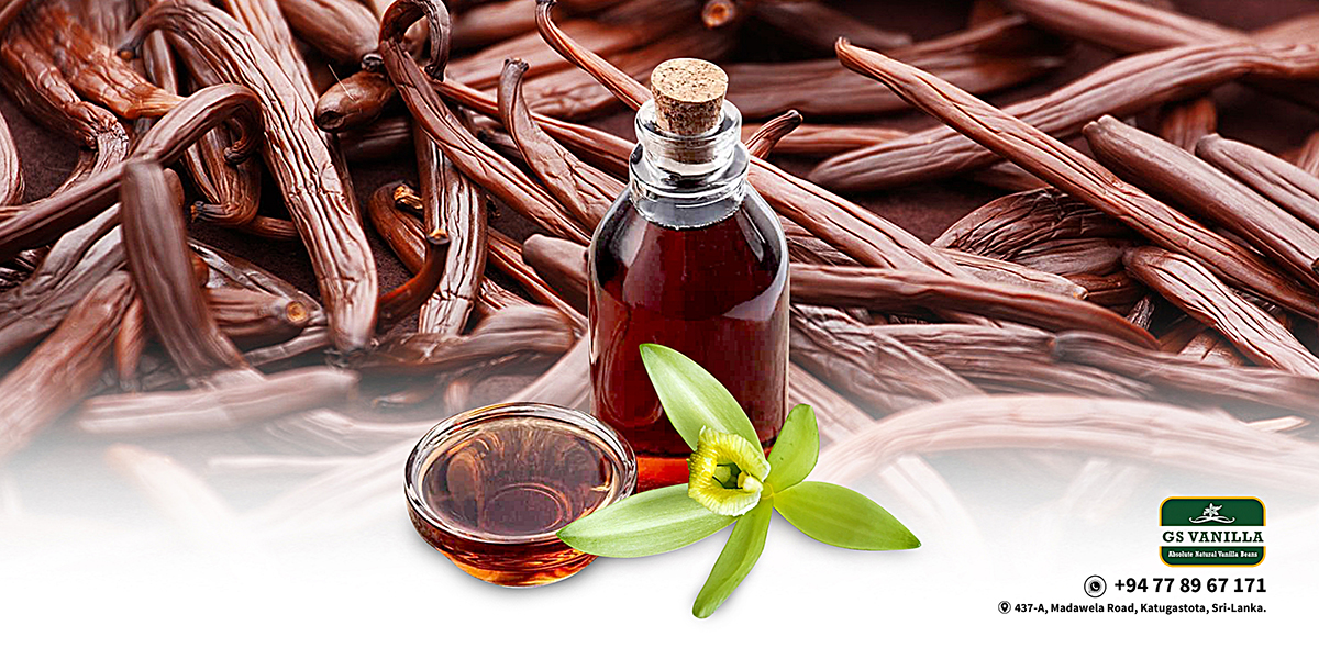 Sri Lankan Vanilla Beans