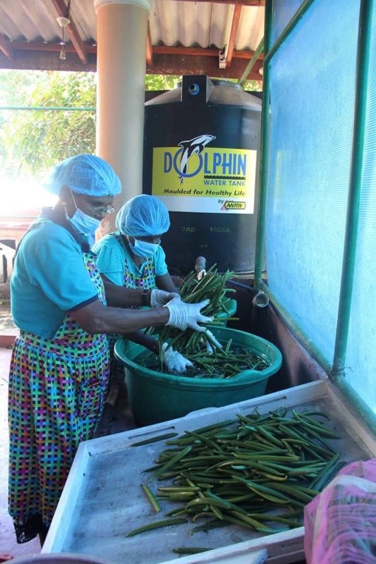 Vanilla Beans cleaning