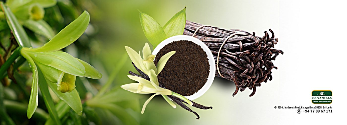 Premium Quality Sri Lankan Vanilla