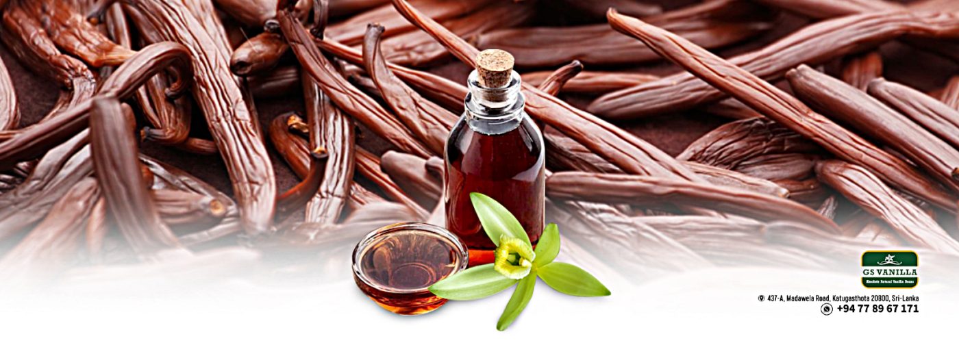 Premium Quality Vanilla Extract